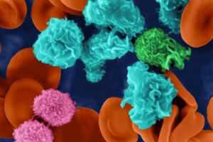 Факторы влияющие на иммунитет