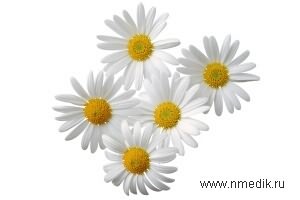 Растительные стимуляторы иммунитета