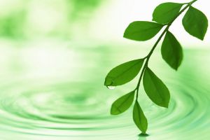 Природные средства повышения иммунитета